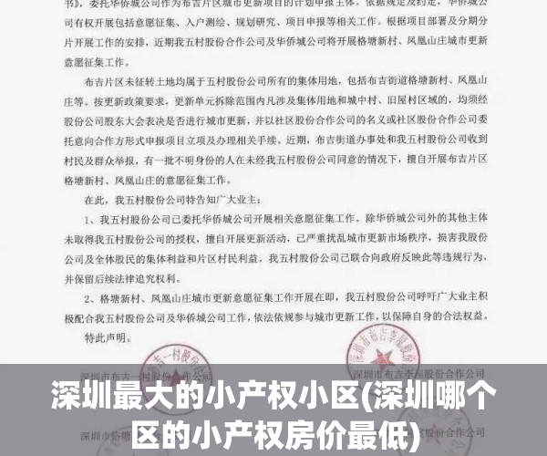 深圳最大的小产权小区(深圳哪个区的小产权房价最低)