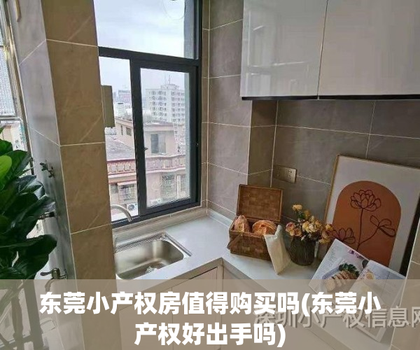 东莞小产权房值得购买吗(东莞小产权好出手吗)