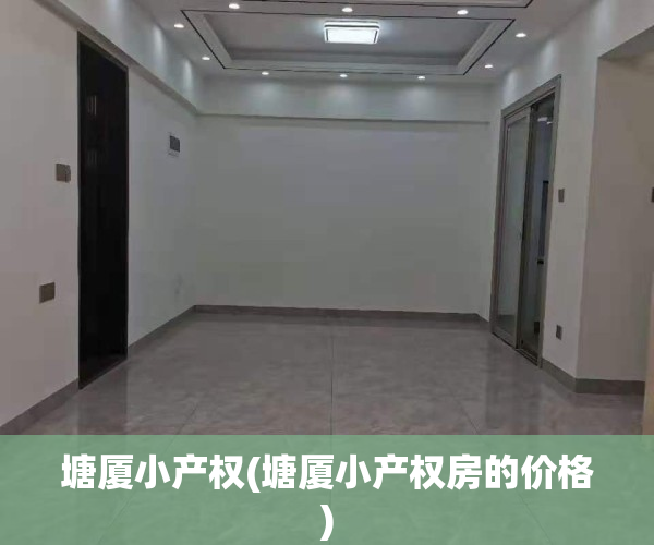 塘厦小产权(塘厦小产权房的价格)