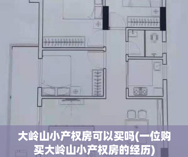 大岭山小产权房可以买吗(一位购买大岭山小产权房的经历)