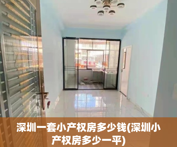 深圳一套小产权房多少钱(深圳小产权房多少一平)