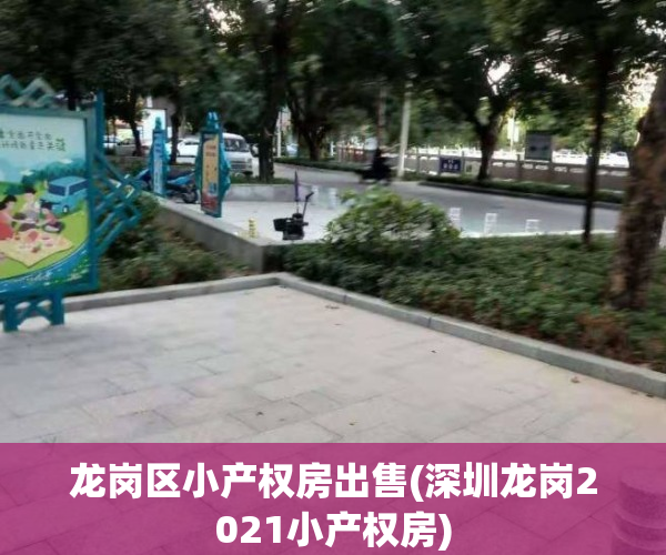 龙岗区小产权房出售(深圳龙岗2021小产权房)