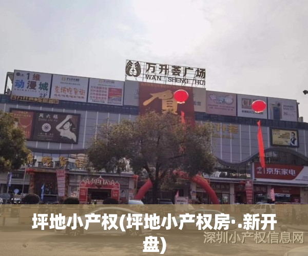 坪地小产权(坪地小产权房·.新开盘)