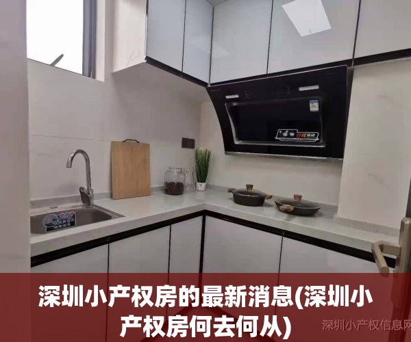 深圳小产权房的最新消息(深圳小产权房何去何从)