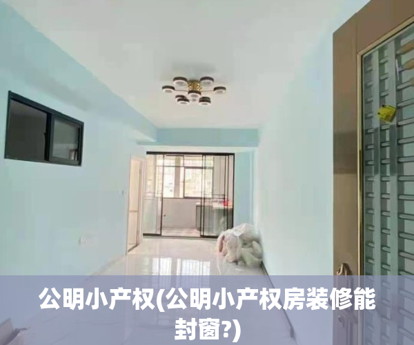 公明小产权(公明小产权房装修能封窗?)