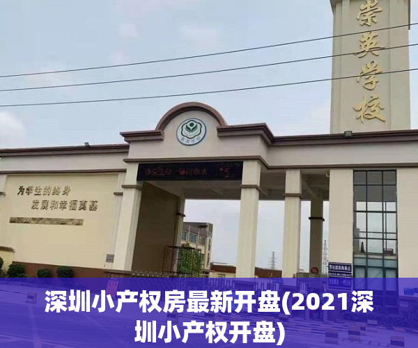 深圳小产权房最新开盘(2021深圳小产权开盘)