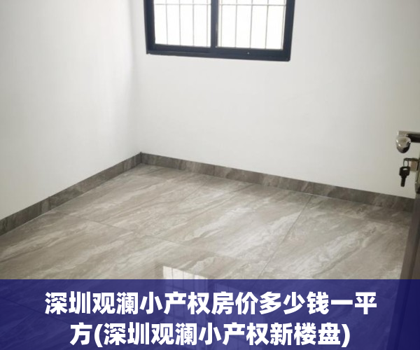 深圳观澜小产权房价多少钱一平方(深圳观澜小产权新楼盘)