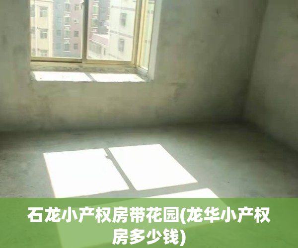 石龙小产权房带花园(龙华小产权房多少钱)