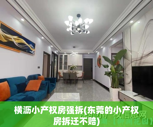 横沥小产权房强拆(东莞的小产权房拆迁不赔)