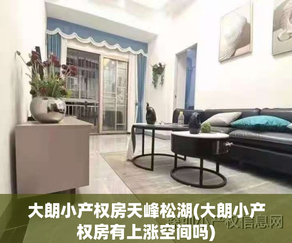 大朗小产权房天峰松湖(大朗小产权房有上涨空间吗)
