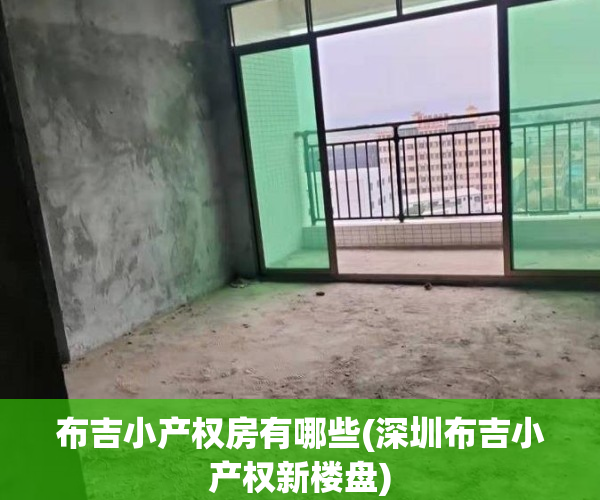 布吉小产权房有哪些(深圳布吉小产权新楼盘)