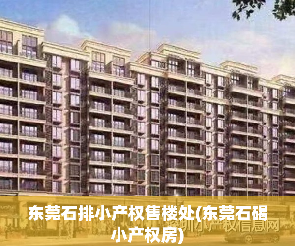 东莞石排小产权售楼处(东莞石碣小产权房)