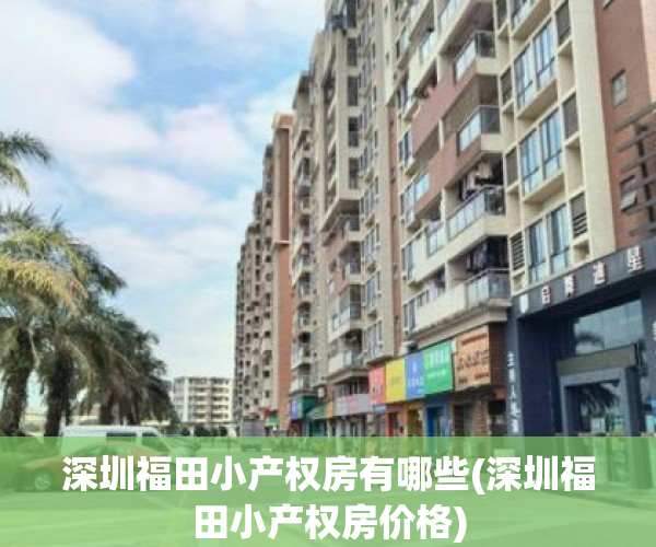深圳福田小产权房有哪些(深圳福田小产权房价格)