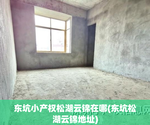 东坑小产权松湖云锦在哪(东坑松湖云锦地址)