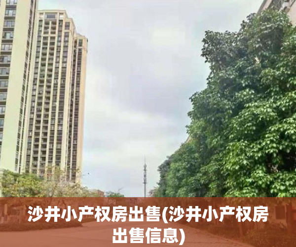 沙井小产权房出售(沙井小产权房出售信息)