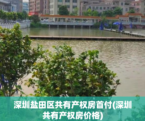 深圳盐田区共有产权房首付(深圳共有产权房价格)
