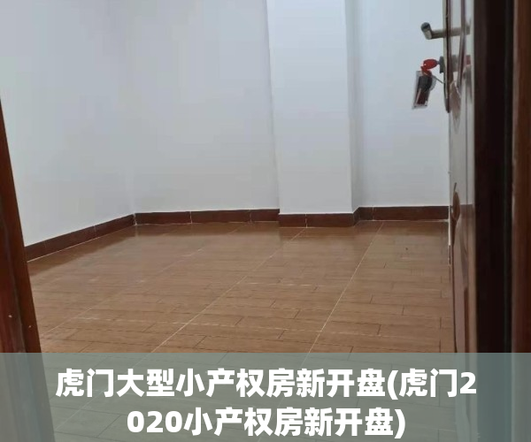 虎门大型小产权房新开盘(虎门2020小产权房新开盘)