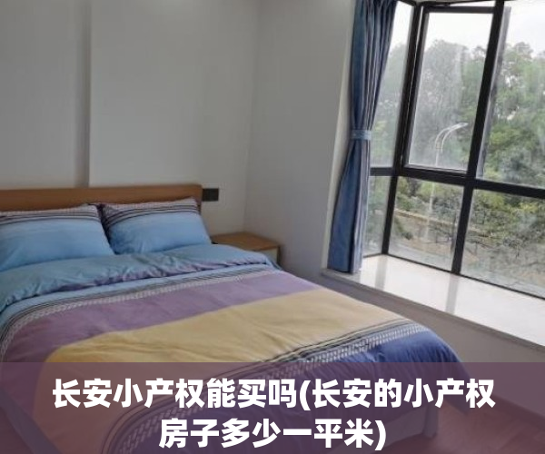 长安小产权能买吗(长安的小产权房子多少一平米)