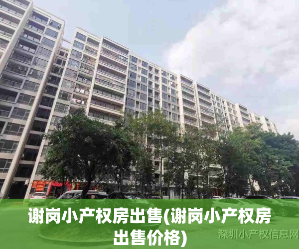 谢岗小产权房出售(谢岗小产权房出售价格)