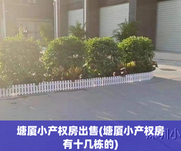 塘厦小产权房出售(塘厦小产权房有十几栋的)