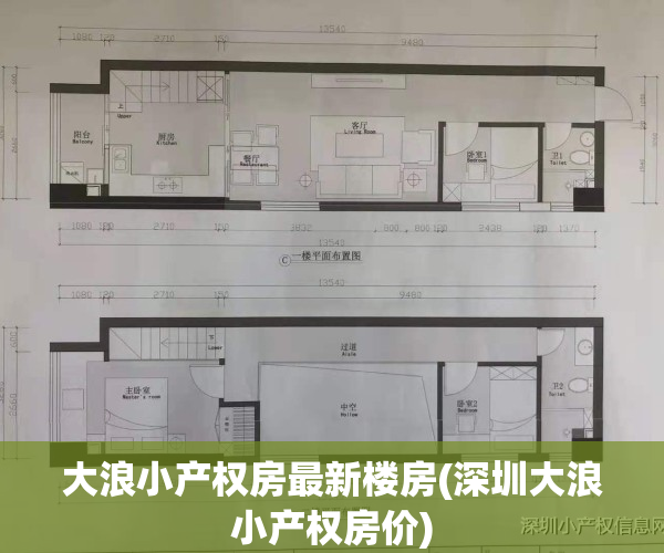 大浪小产权房最新楼房(深圳大浪小产权房价)