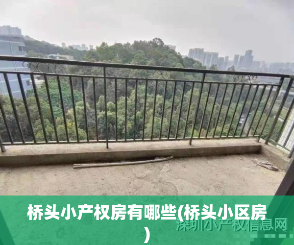 桥头小产权房有哪些(桥头小区房)