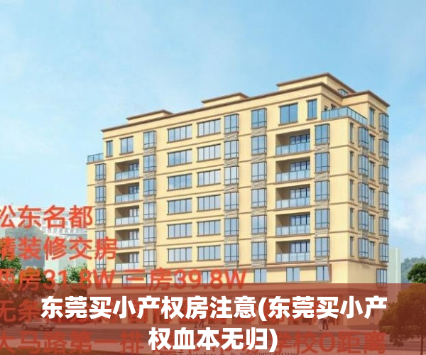 东莞买小产权房注意(东莞买小产权血本无归)
