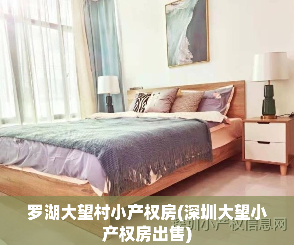 罗湖大望村小产权房(深圳大望小产权房出售)