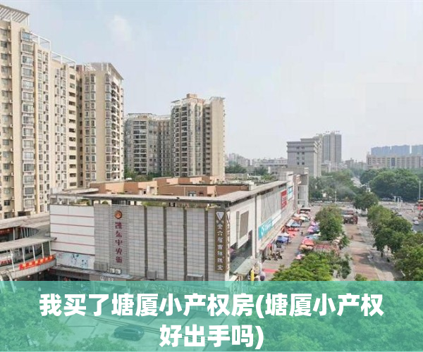 我买了塘厦小产权房(塘厦小产权好出手吗)
