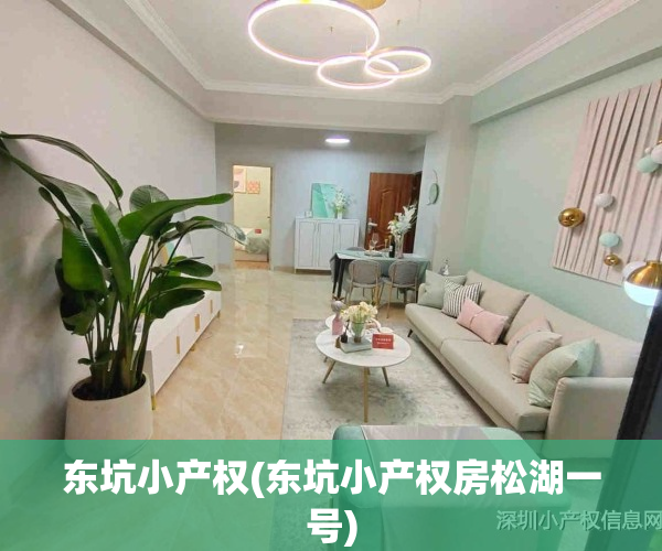 东坑小产权(东坑小产权房松湖一号)