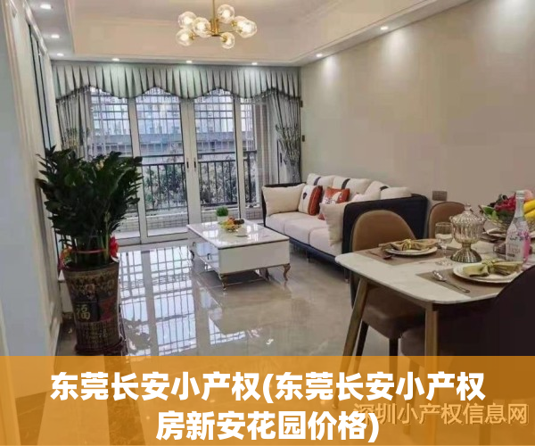 东莞长安小产权(东莞长安小产权房新安花园价格)