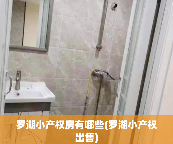 罗湖小产权房有哪些(罗湖小产权出售)