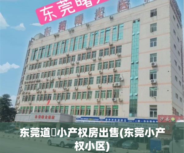 东莞道滘小产权房出售(东莞小产权小区)