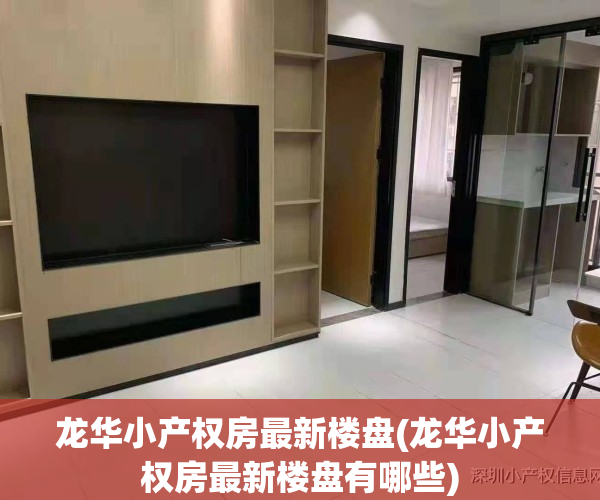 龙华小产权房最新楼盘(龙华小产权房最新楼盘有哪些)