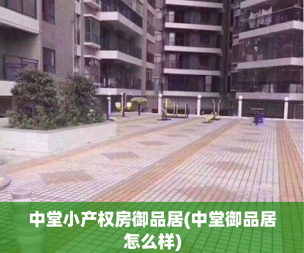 中堂小产权房御品居(中堂御品居怎么样)