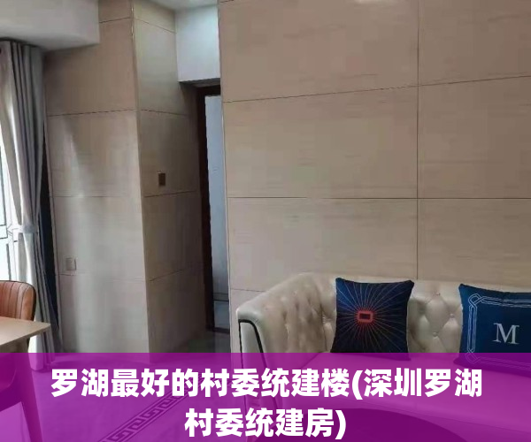 罗湖最好的村委统建楼(深圳罗湖村委统建房)