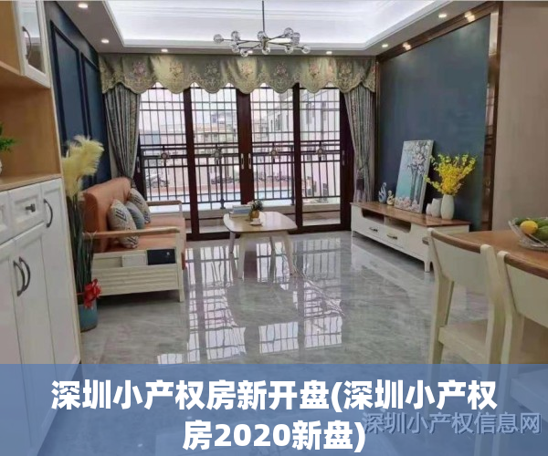 深圳小产权房新开盘(深圳小产权房2020新盘)