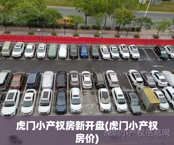 虎门小产权房新开盘(虎门小产权房价)
