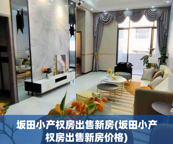 坂田小产权房出售新房(坂田小产权房出售新房价格)