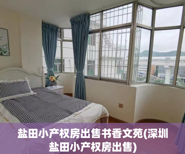 盐田小产权房出售书香文苑(深圳盐田小产权房出售)