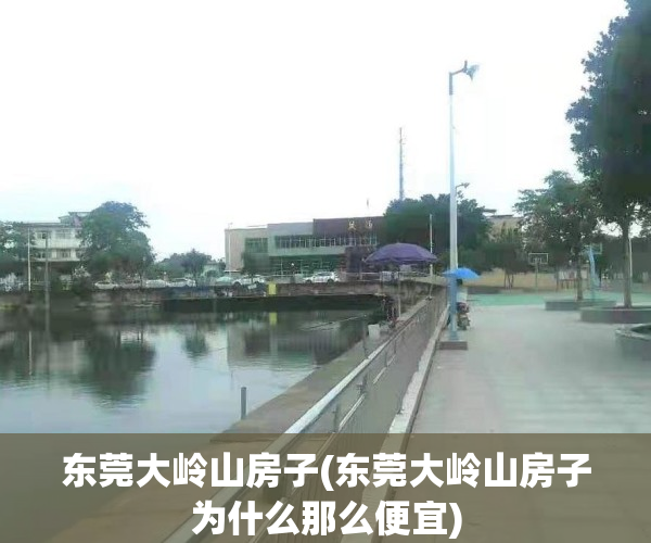 东莞大岭山房子(东莞大岭山房子为什么那么便宜)