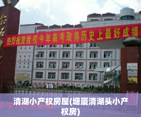 清湖小产权房屋(塘厦清湖头小产权房)