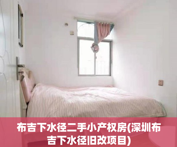 布吉下水径二手小产权房(深圳布吉下水径旧改项目)