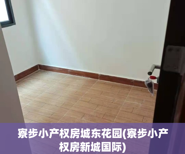 寮步小产权房城东花园(寮步小产权房新城国际)