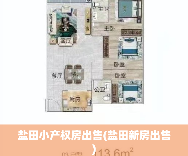 盐田小产权房出售(盐田新房出售)