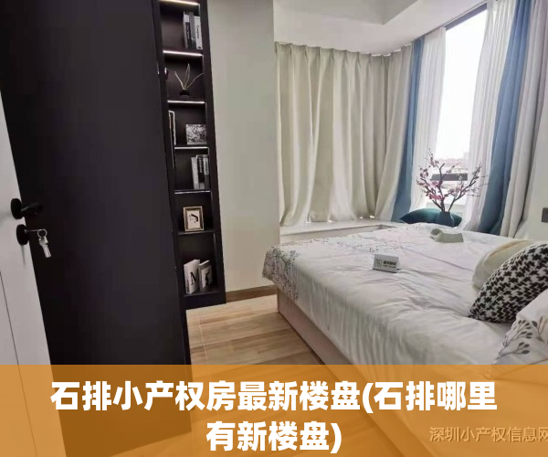 石排小产权房最新楼盘(石排哪里有新楼盘)
