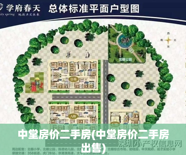 中堂房价二手房(中堂房价二手房出售)