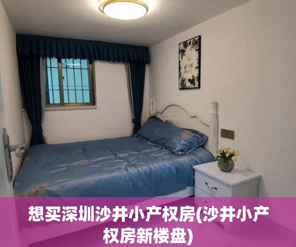 想买深圳沙井小产权房(沙井小产权房新楼盘)
