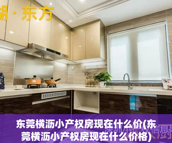 东莞横沥小产权房现在什么价(东莞横沥小产权房现在什么价格)