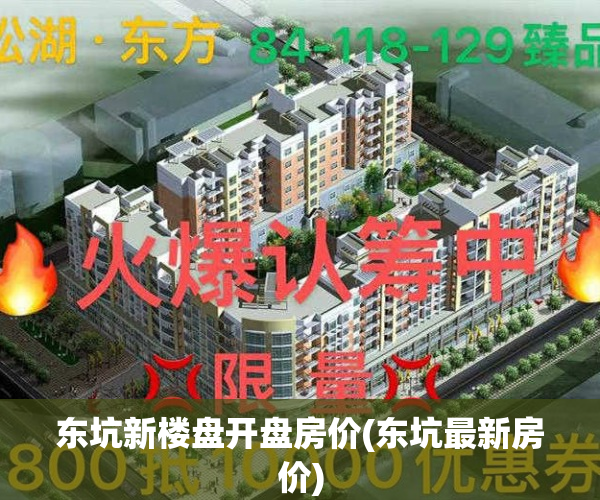 东坑新楼盘开盘房价(东坑最新房价)